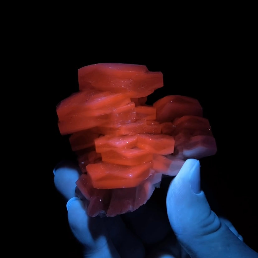 Fluorescent Hexagonal Sandwich Calcite Crystal Cluster