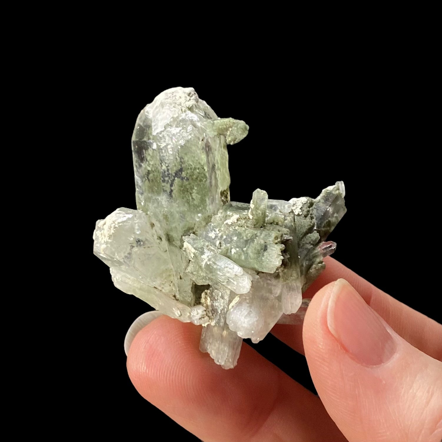 Chlorite Included Quartz Cluster