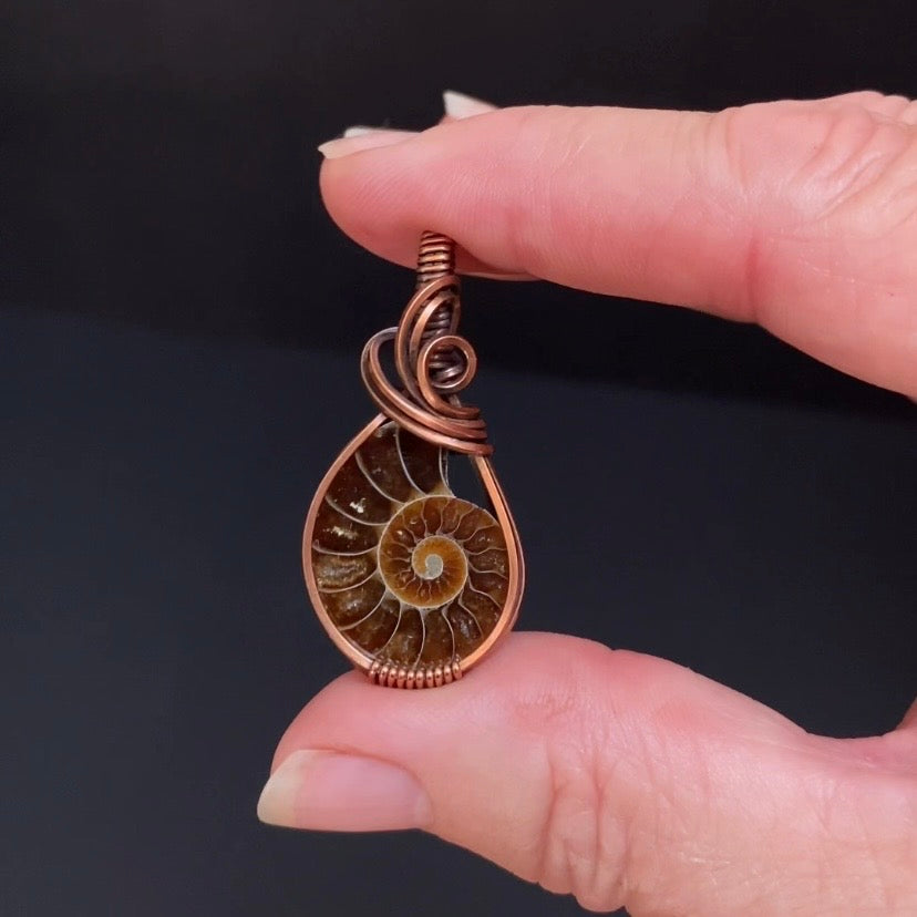 Polished Ammonite Fossil & Copper Wire Wrapped Pendant