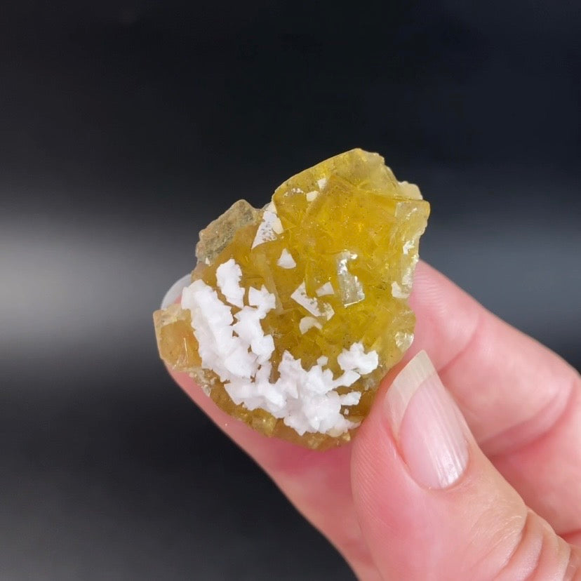 Yellow Moscona Cubic Fluorite Cluster from Asturias Spain - Phosphorescent