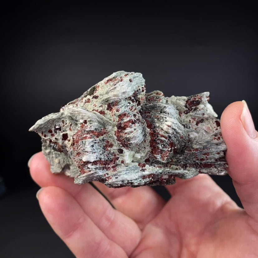 Spessartine Garnets on Muscovite Mica, Shigar Valley, Pakistan