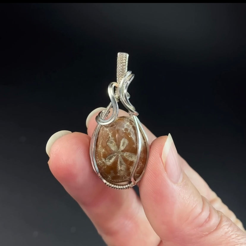 Hemiaster Sea Urchin Fossil and Sterling Silver Wire Wrapped Pendant