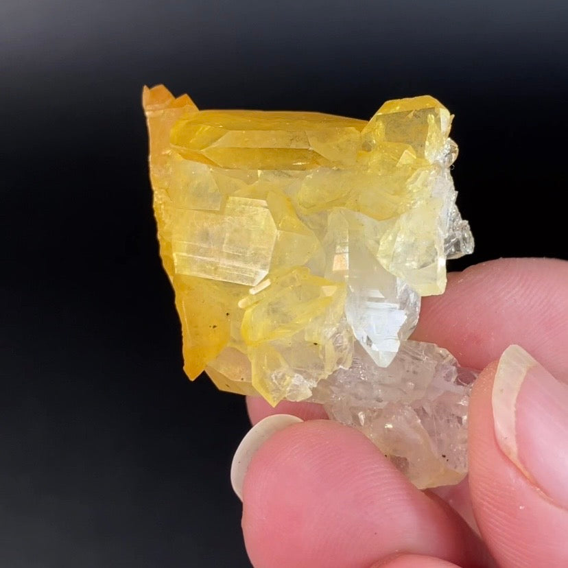 Golden Quartz Crystal Cluster with Natural Rainbow Iridescent Iron Oxide Surface - Natural Crystals