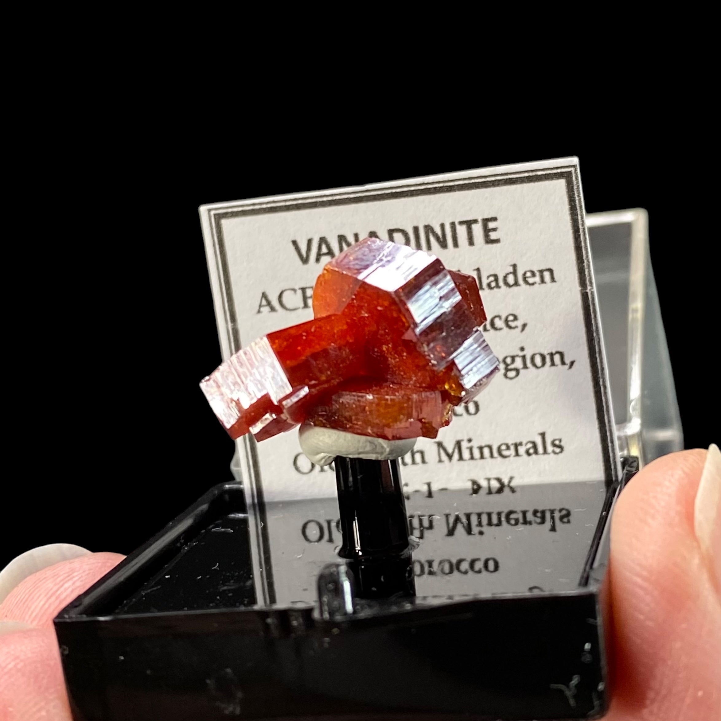 Gemmy Vanadinite Thumbnail Size Cluster in Perky Box