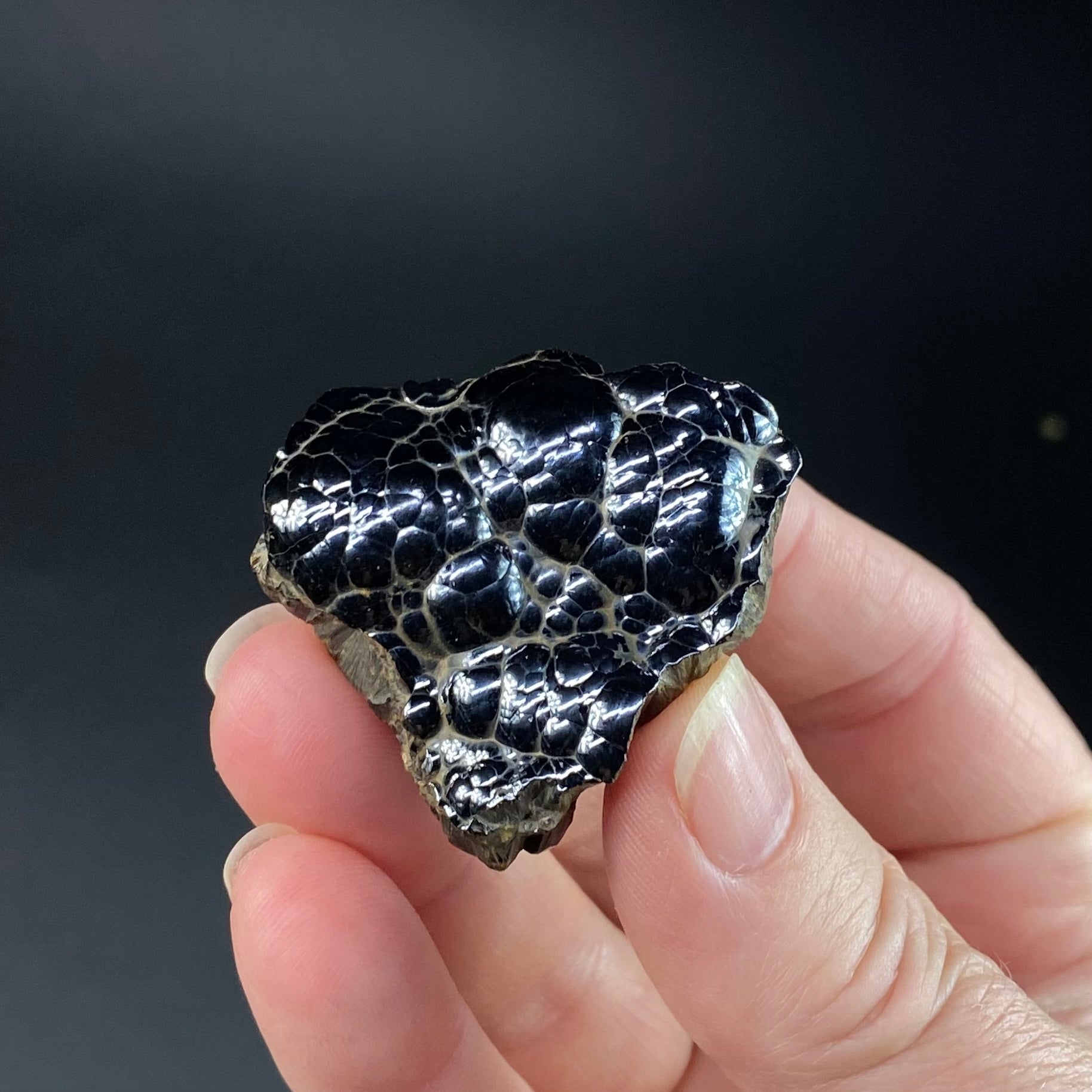 Botryoidal Hematite Specimen from Morocco