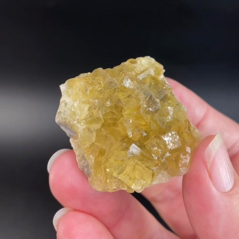 Yellow Moscona Cubic Fluorite Cluster from Asturias Spain - Phosphorescent
