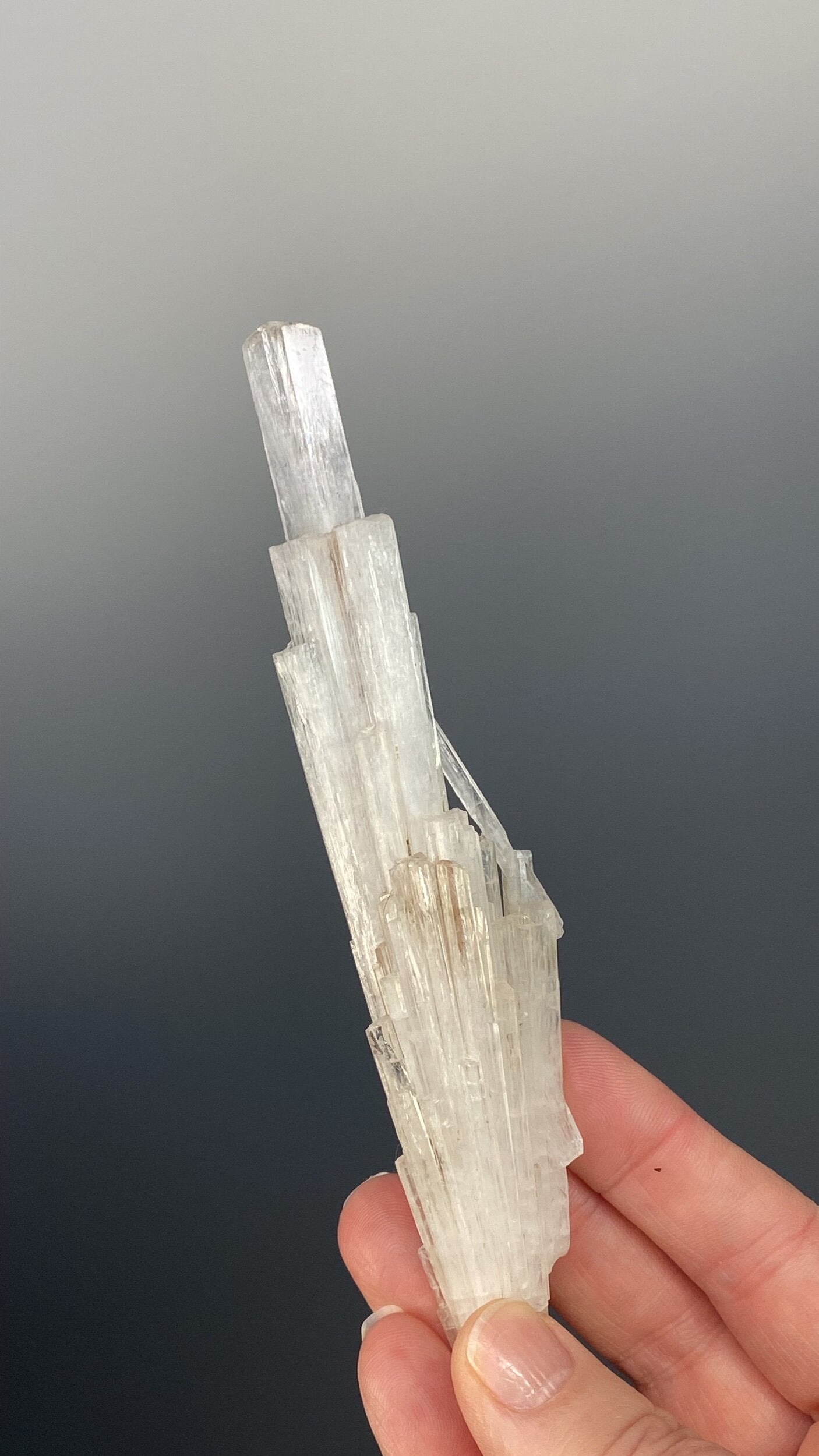 Clear Scolecite Crystal Cluster / Spray