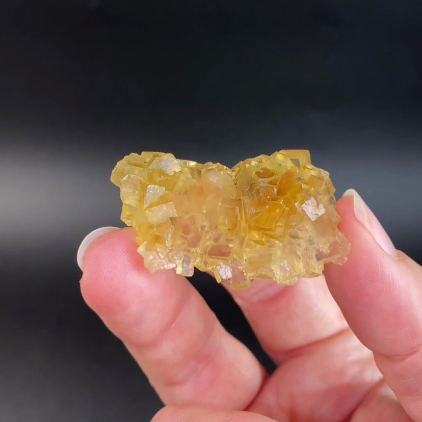 Yellow Moscona Cubic Fluorite Cluster from Asturias Spain - Phosphorescent