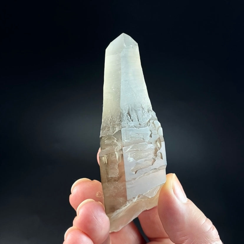 Unique Reverse Scepter Smoky Quartz Crystal