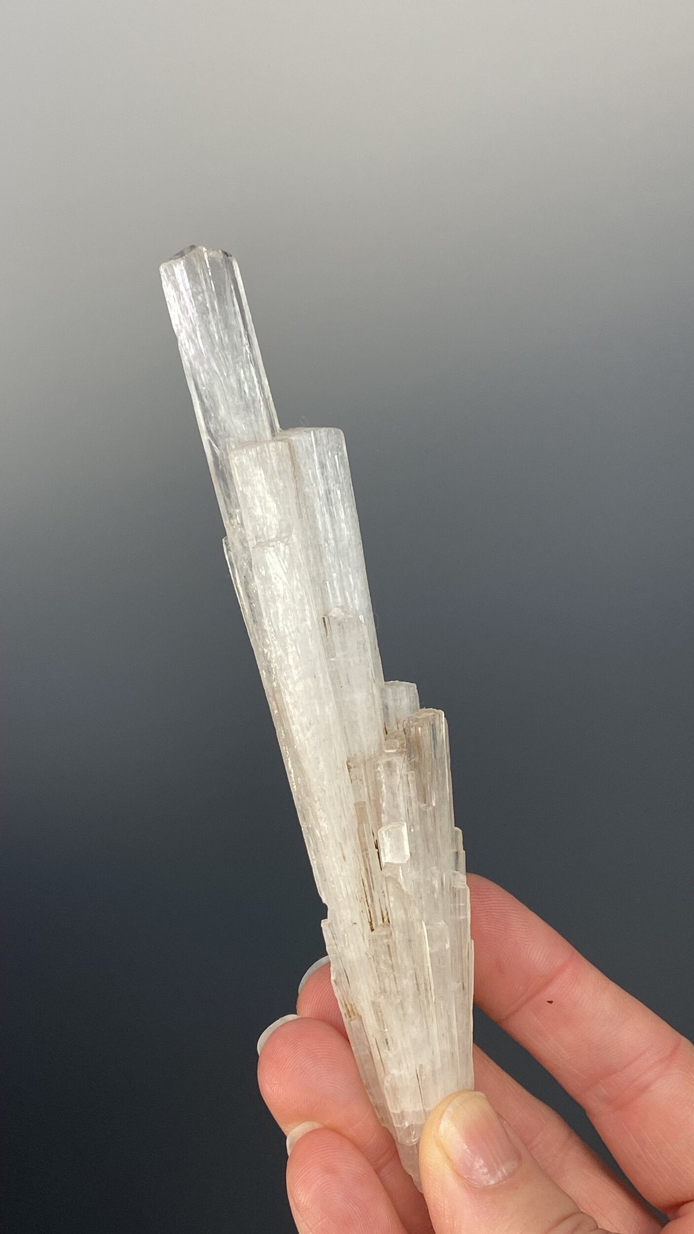 Clear Scolecite Crystal Cluster / Spray