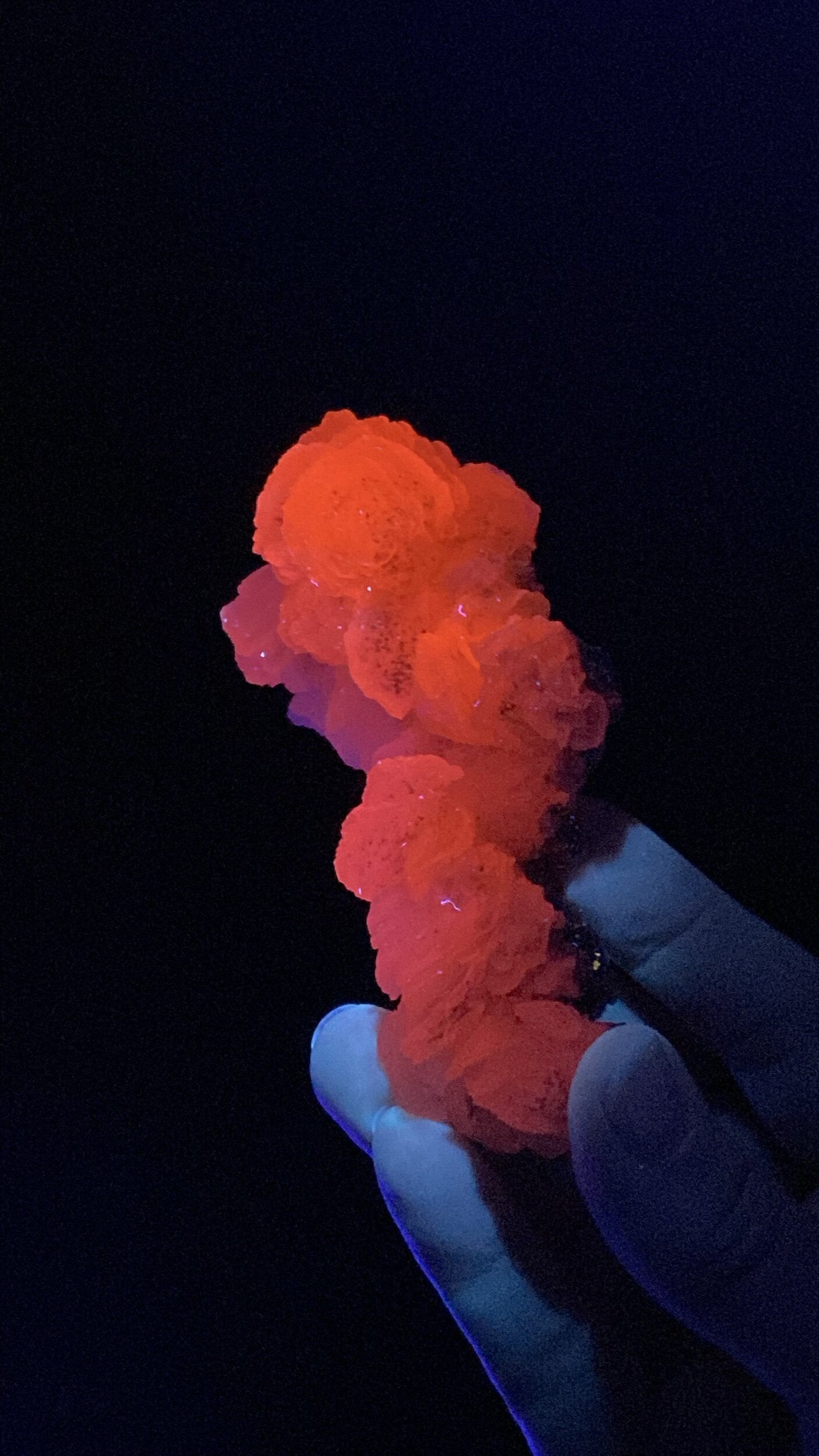 Fluorescent Calcite Cluster with Pyrite from Trepca Mines, Kosovo