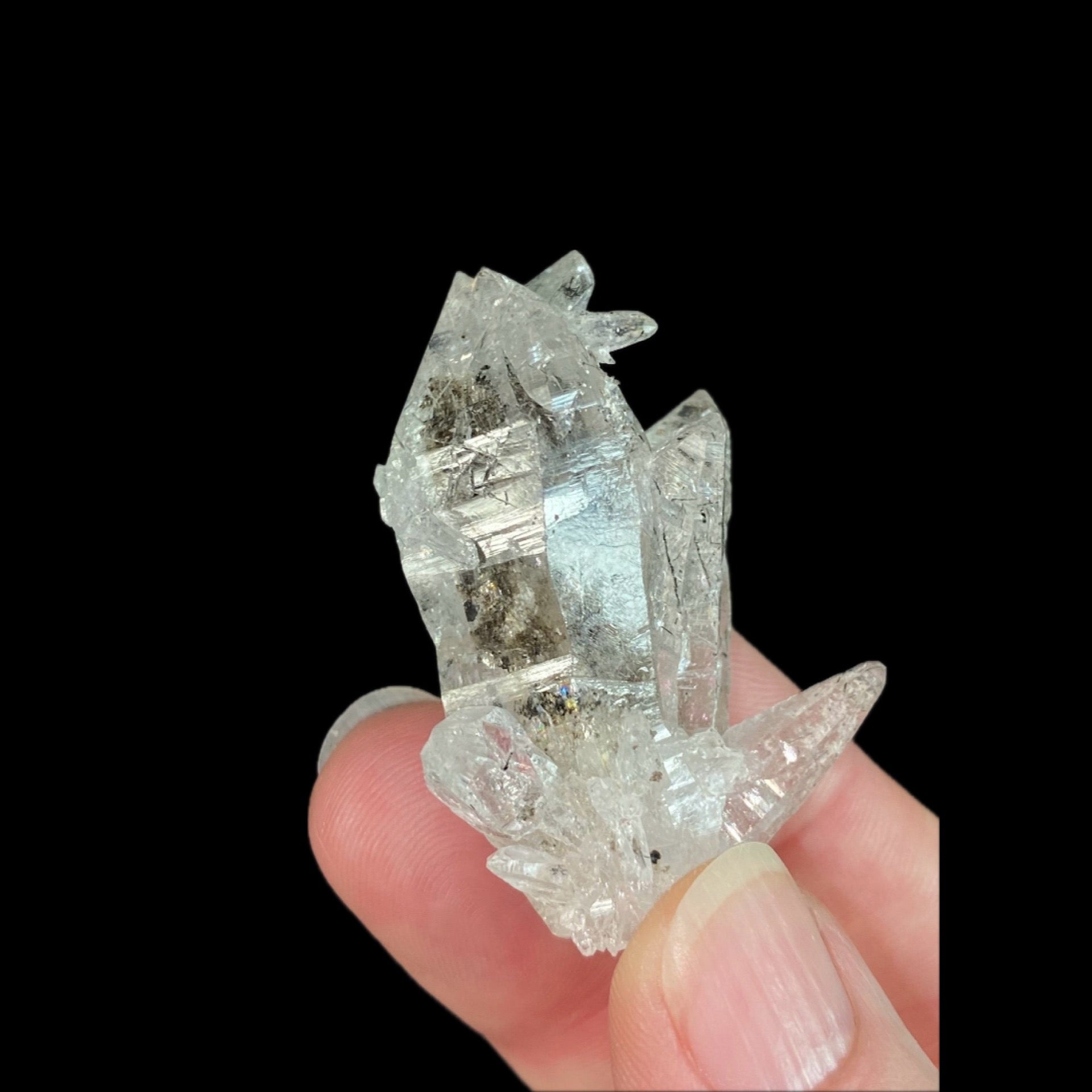 Actinolite Included Himalayan Quartz Crystal Cluster with Record Keepers