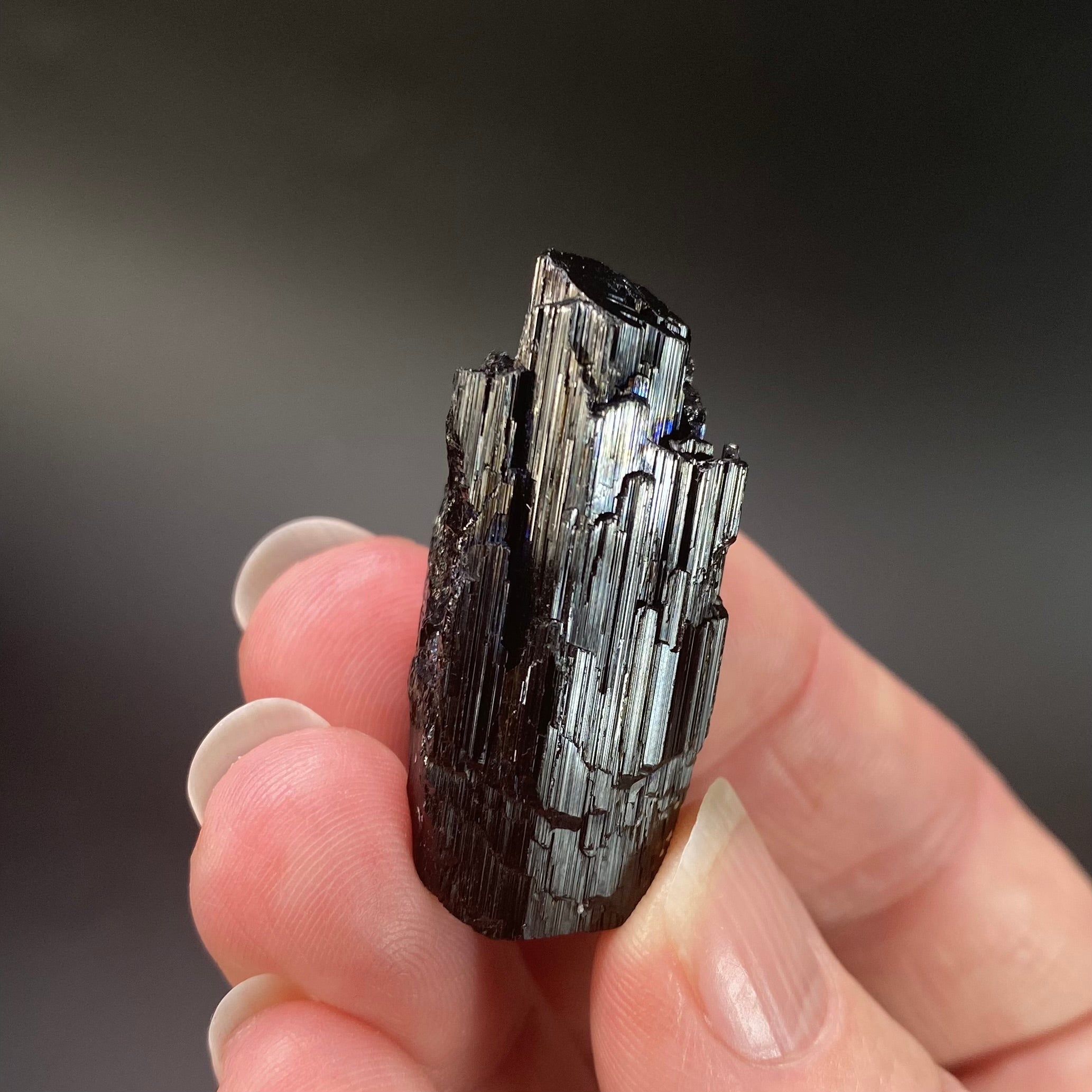 Etched Black Tourmaline Schorl with Mica