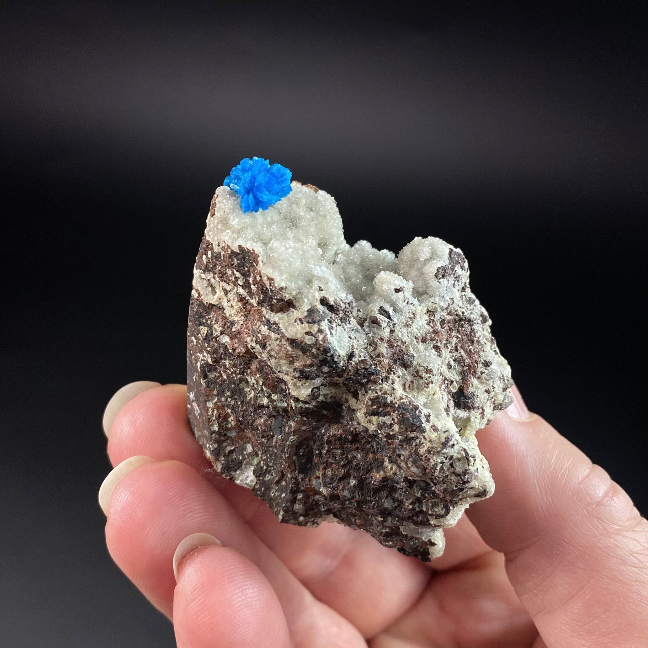 Vibrant Blue Cavansite Cluster on Druzy Stilbite & Basalt Matrix