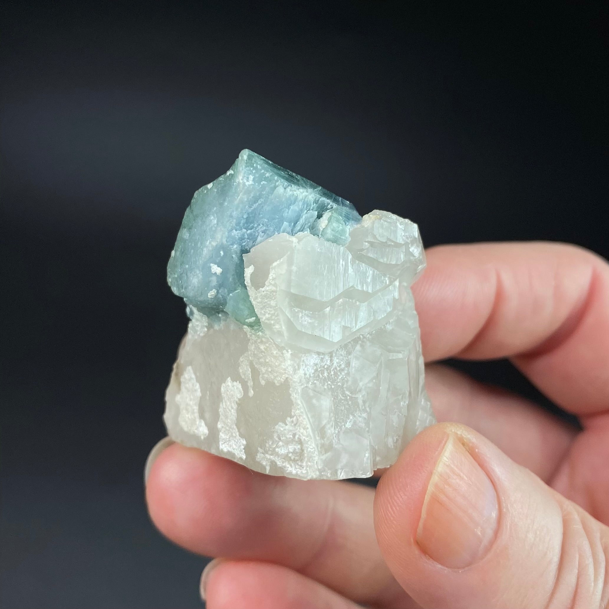 Bicolor Blue & Green Tourmaline on a Light Smoky Quartz Crystal