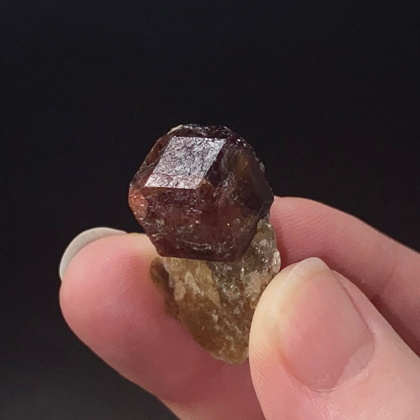 Garnet Crystal on Mica