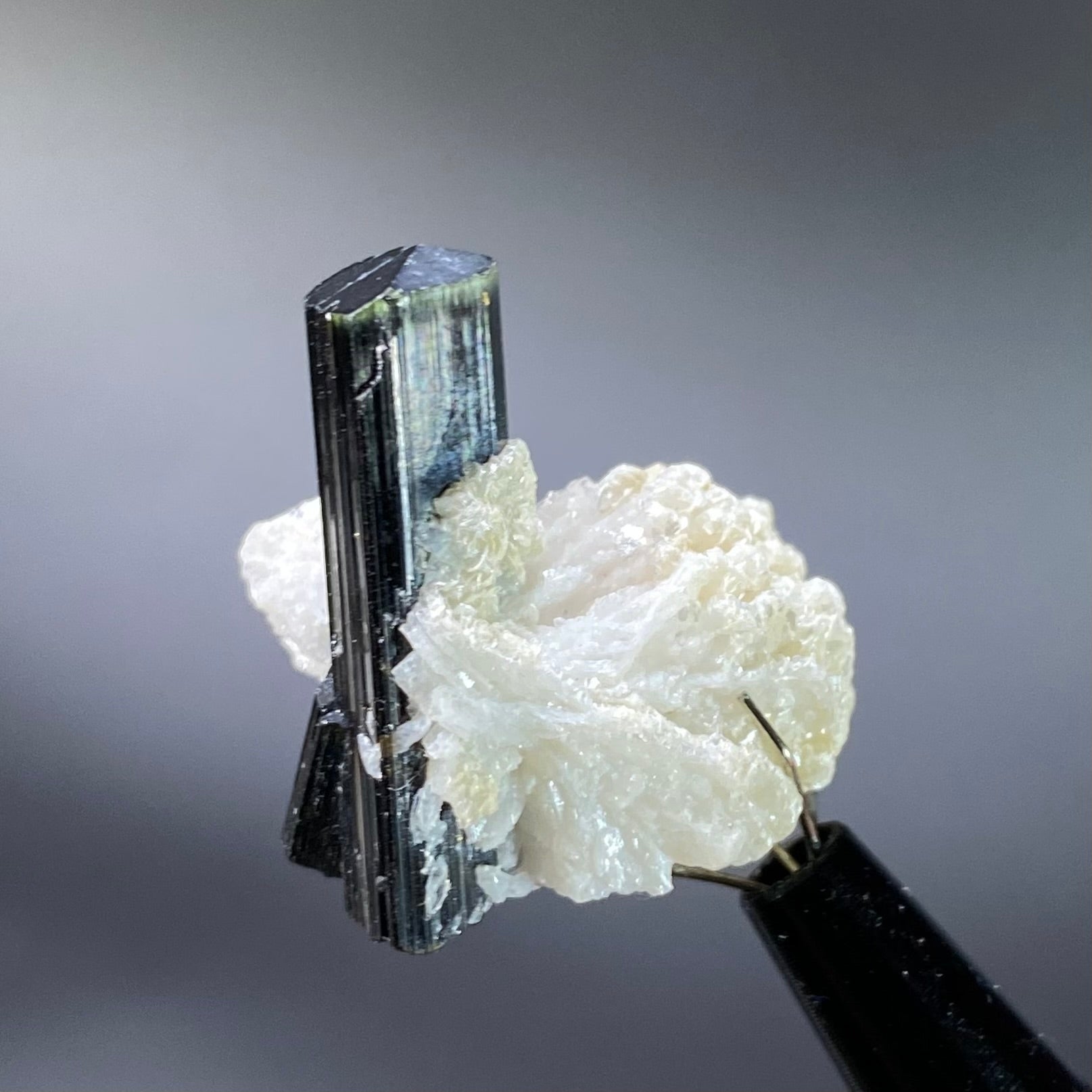 Terminated Green Tourmaline with Albite from Shigar Valley, Pakistan