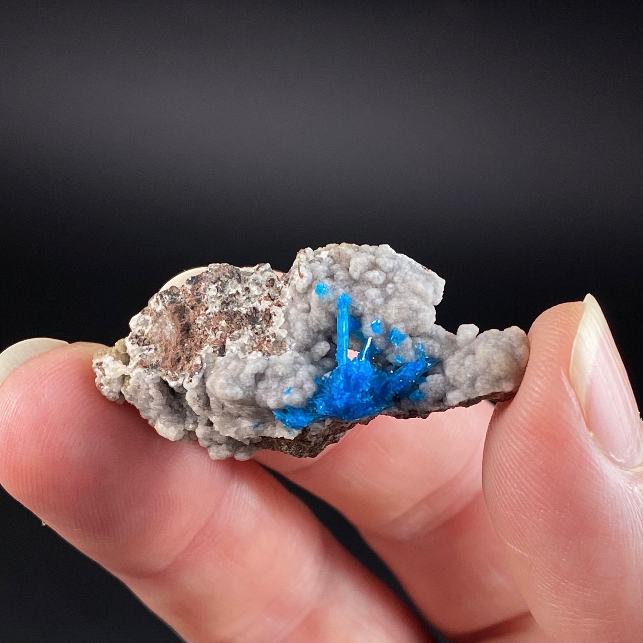 Vibrant Blue Pentagonite Cluster on Druzy Stilbite & Basalt Matrix