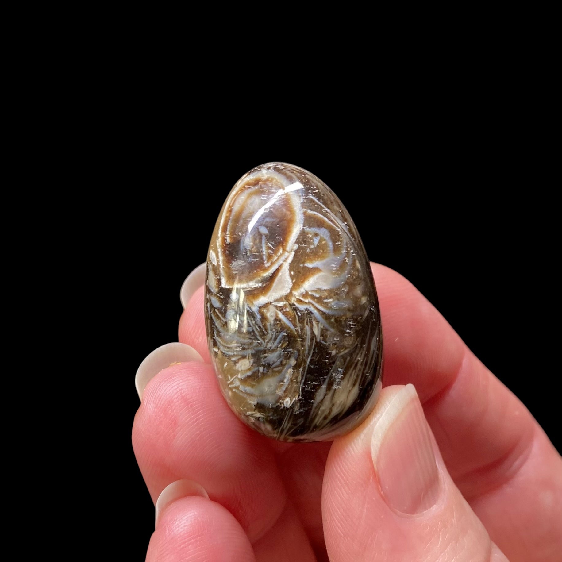 Feather Agate Polished Tumble Stone