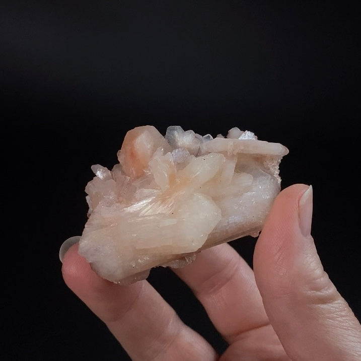 Peach Stilbite Cluster, Maharashtra, India