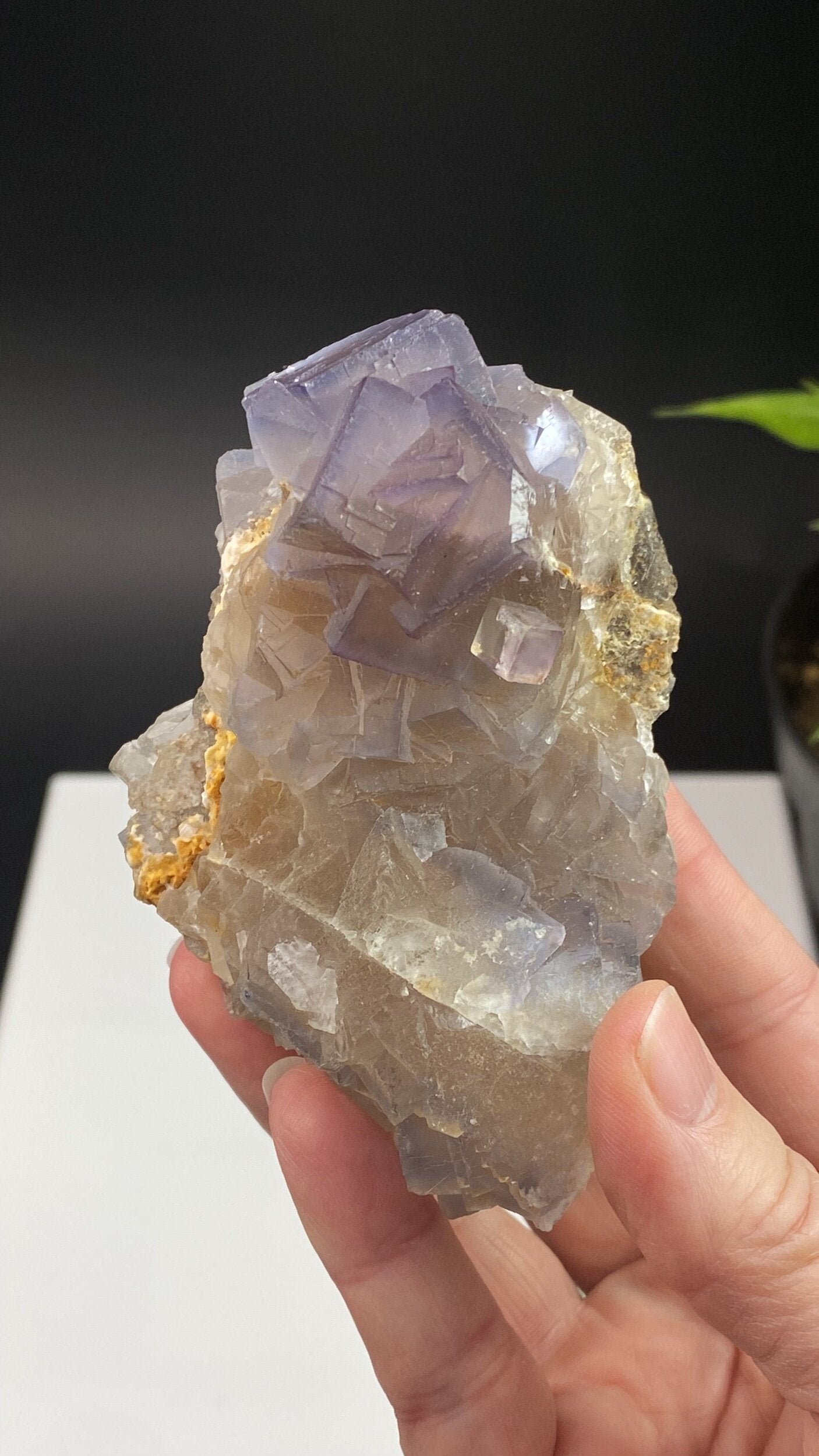 Cubic Purple and Gray Fluorite Crystal Cluster from Balochistan, Pakistan