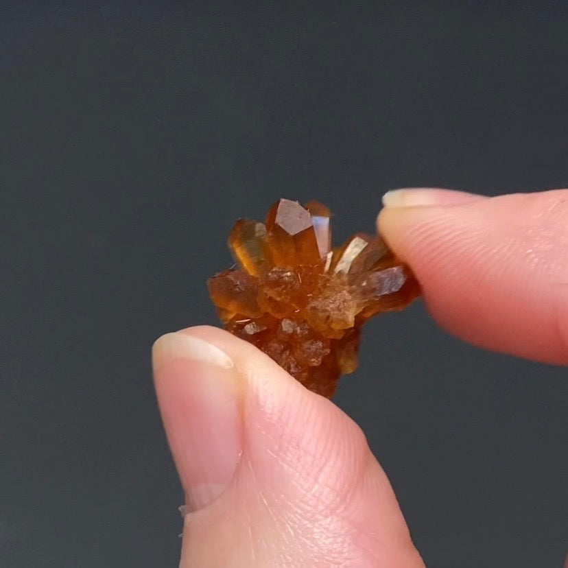 Floater Citrine Colored Honey Brown Quartz Flower Cluster - Midelt, Morocco