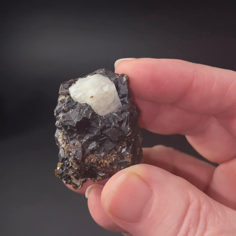 Andradite Garnet Cluster from Balochistan, Pakistan