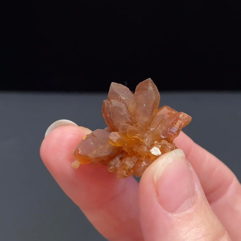 Floater Citrine Colored Honey Brown Quartz Flower Cluster - Midelt, Morocco