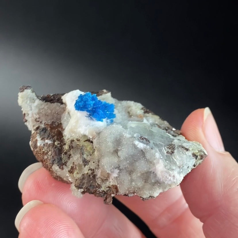 Vibrant Blue Cavansite & Pentagonite Clusters on Druzy Stilbite Over Basalt Matrix