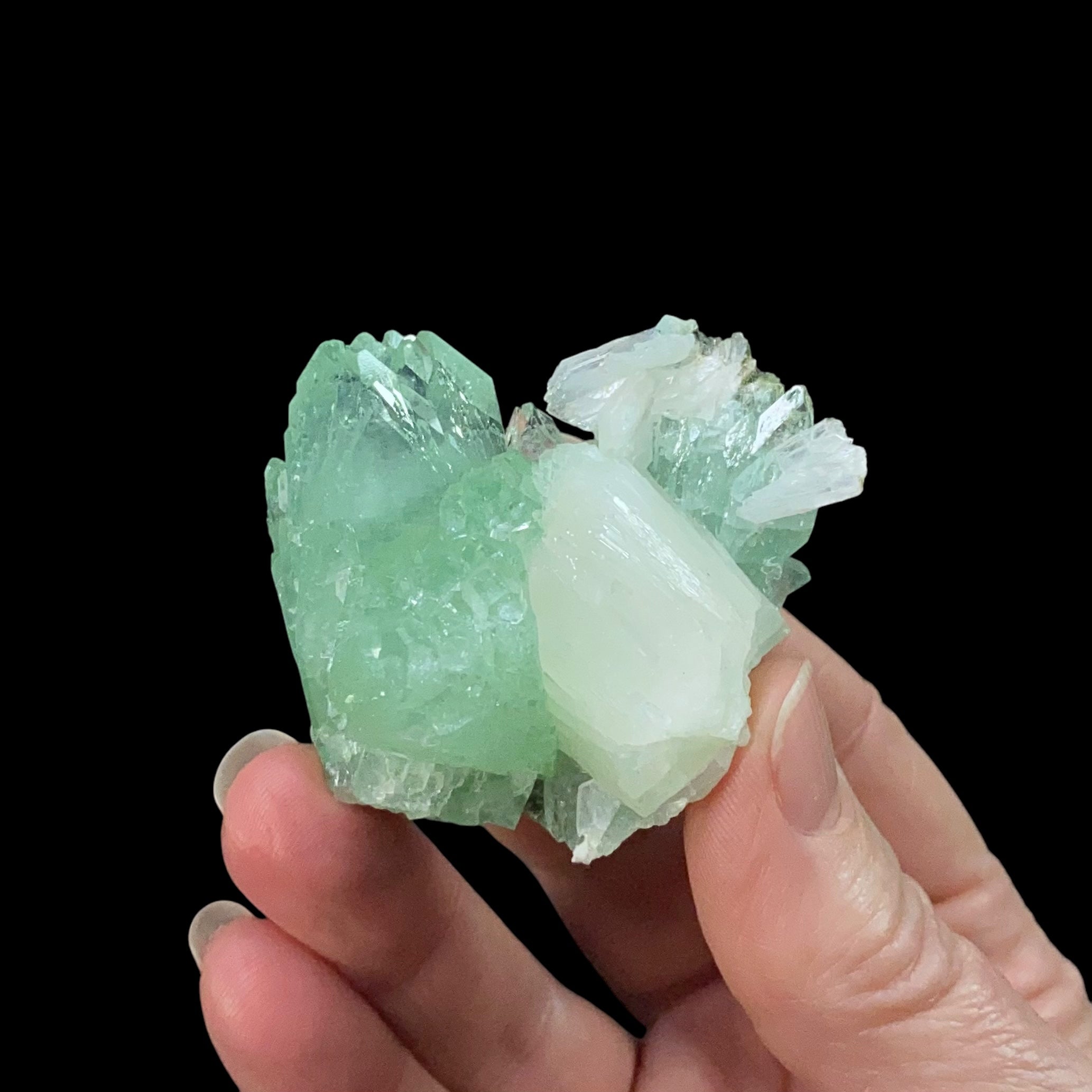 Green Apophyllite Crystal Cluster from Maharashtra, India