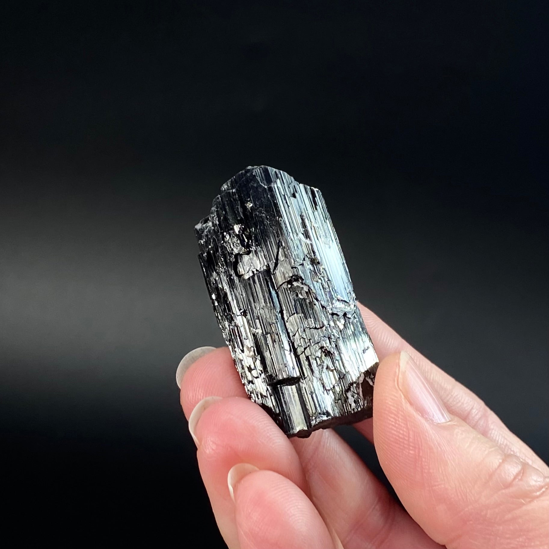 Etched Black Tourmaline Schorl with Mica