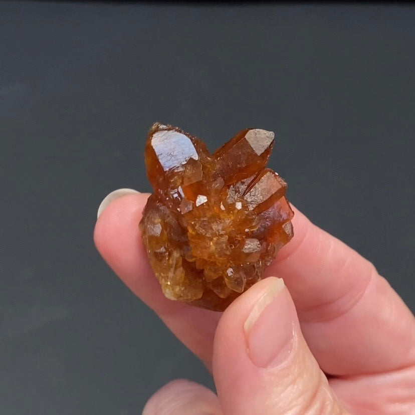 Floater Citrine Colored Honey Brown Quartz Flower Cluster - Midelt, Morocco