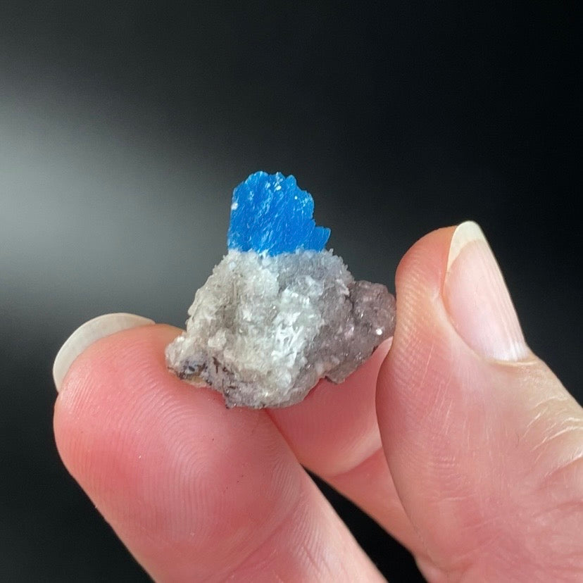 Vibrant Blue Cavansite Cluster on Druzy Stilbite & Basalt Matrix