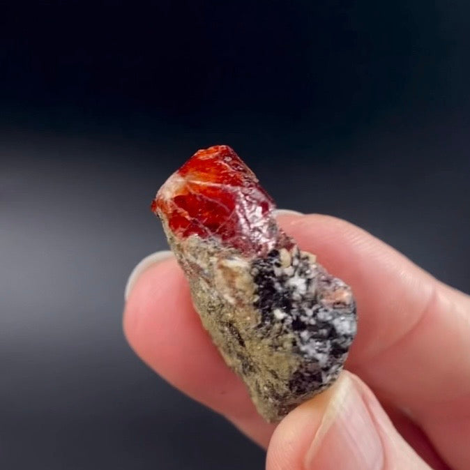 Zircon Crystal with Fluorescent Apatite Inclusions, Biotite-Calcite Schistose matrix, Astore Valley, Pakistan