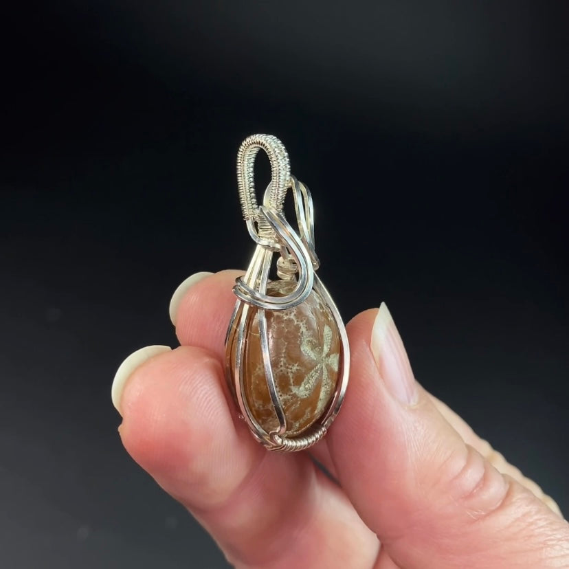 Hemiaster Sea Urchin Fossil and Sterling Silver Wire Wrapped Pendant