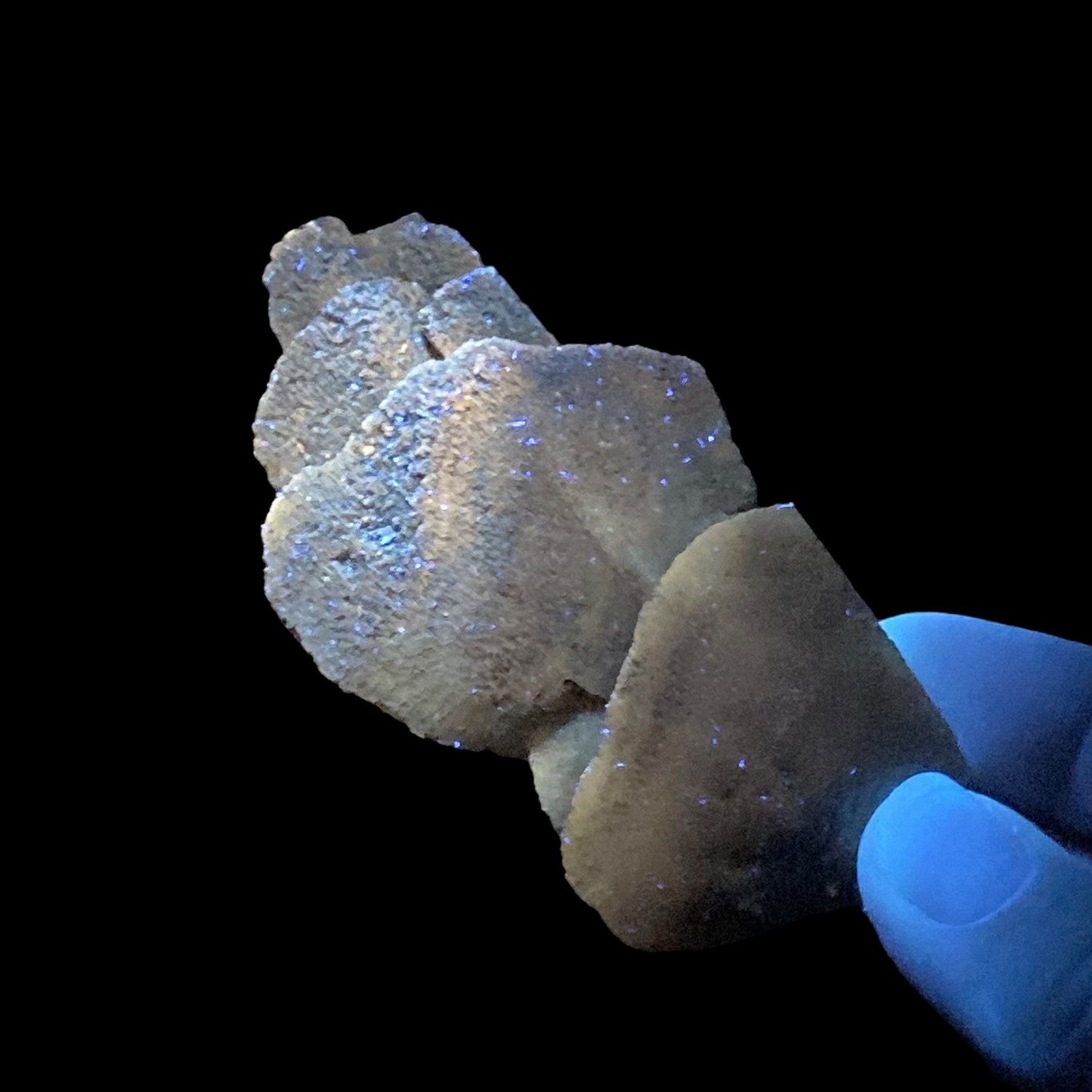 Gypsum var. Selenite Desert Rose Sand Crystal Dollar, Fluorescent