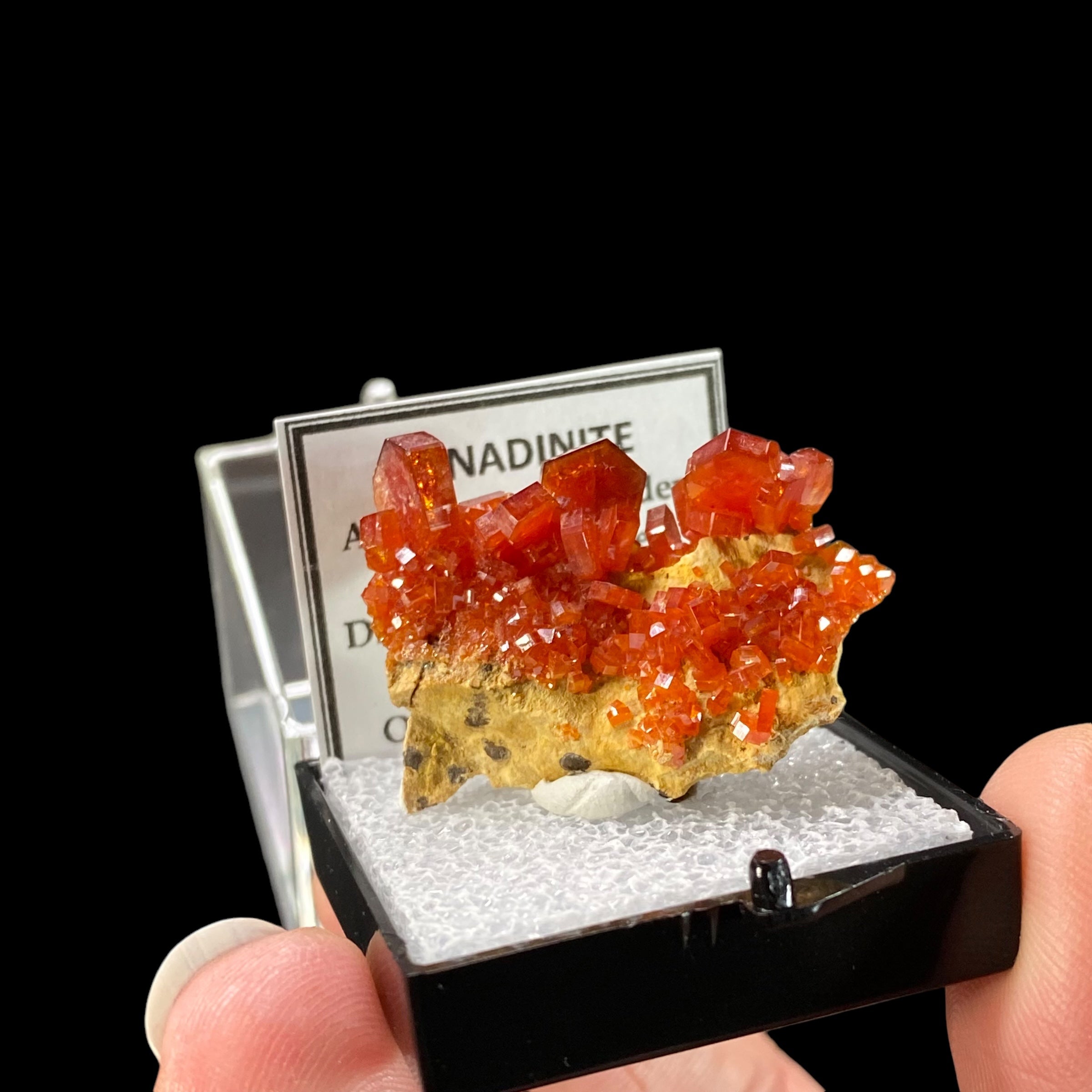 Gemmy Vanadinite Thumbnail Size Cluster in Perky Box