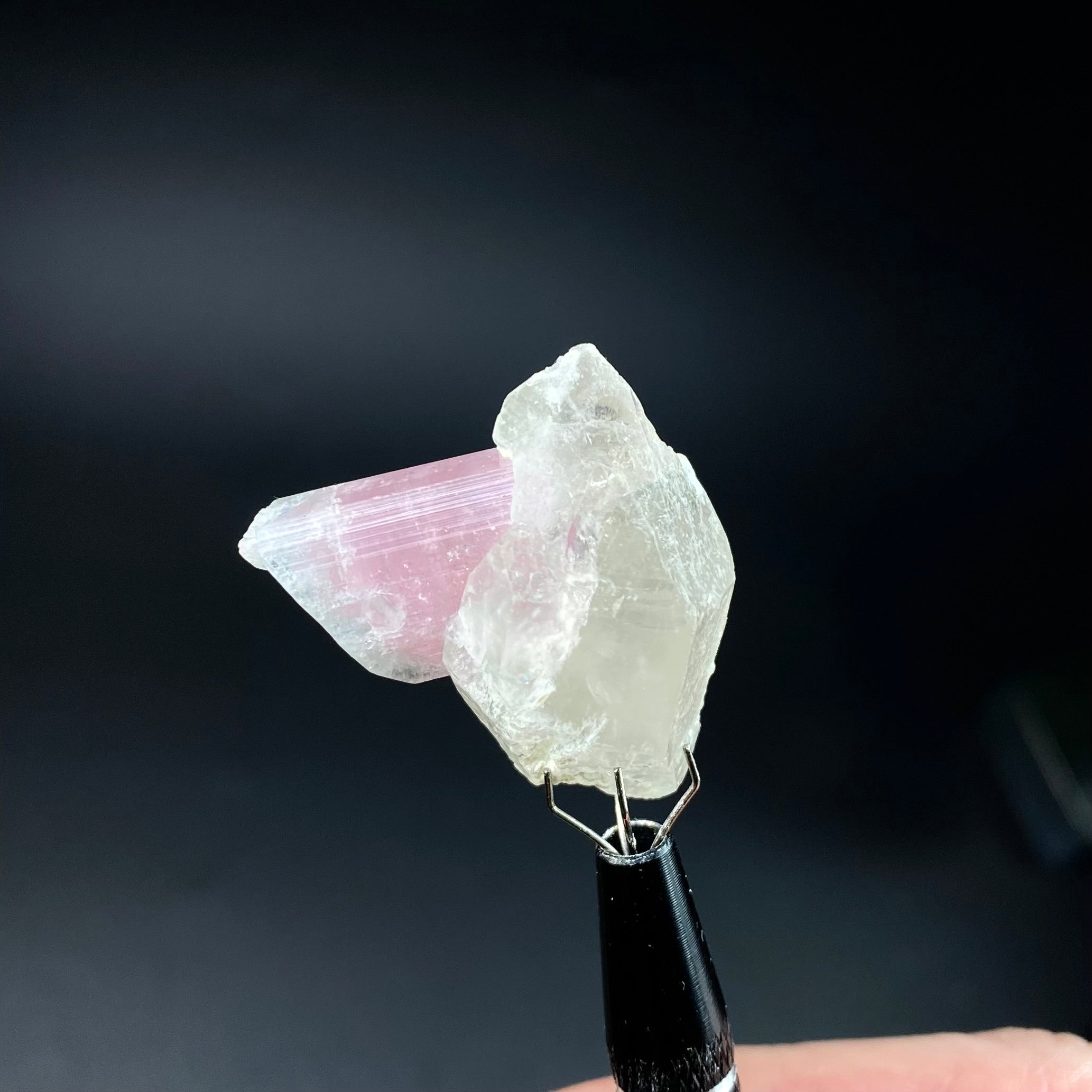 Bicolor Pink & Green Tourmaline on a Light Smoky Quartz Crystal