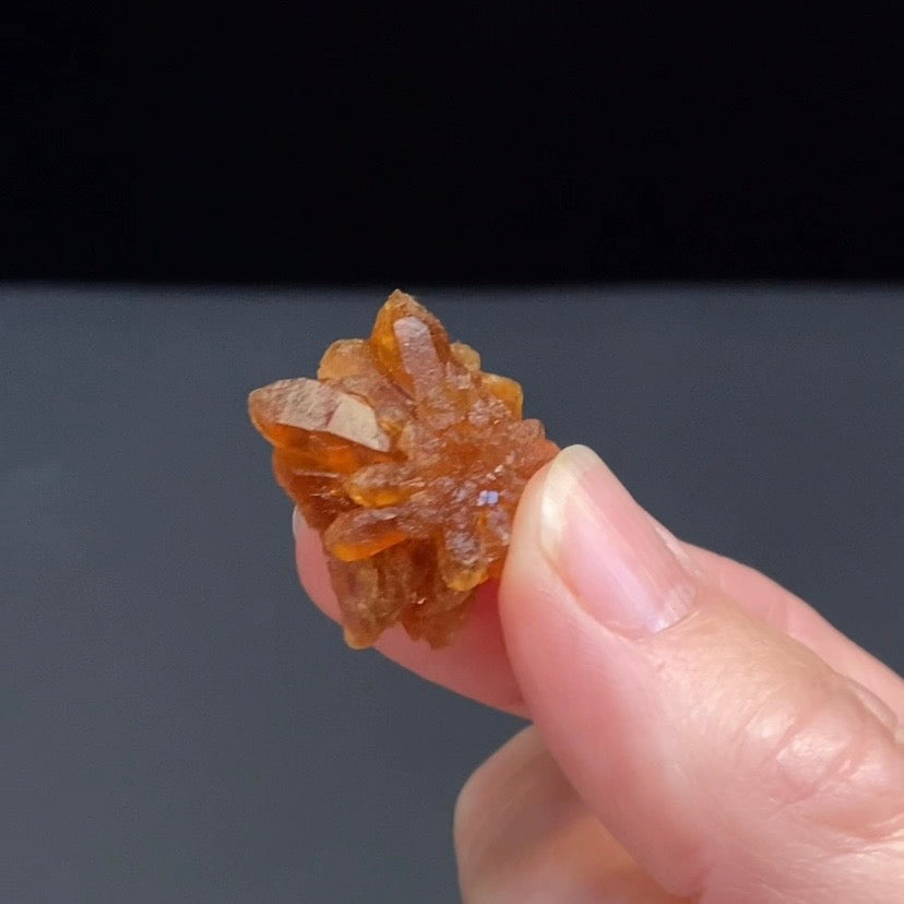 Floater Citrine Colored Honey Brown Quartz Flower Cluster - Midelt, Morocco