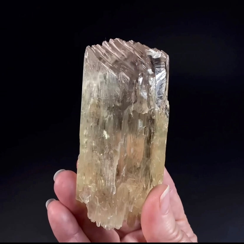 Yellow and Pink Spodumene Triphane Kunzite Crystal with Unique Healed Terminations