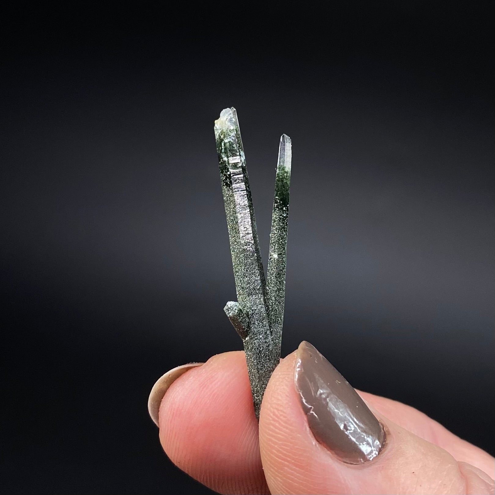 Himalayan Laser Chlorite Included Quartz Cluster from Ganesh Himal, Nepal