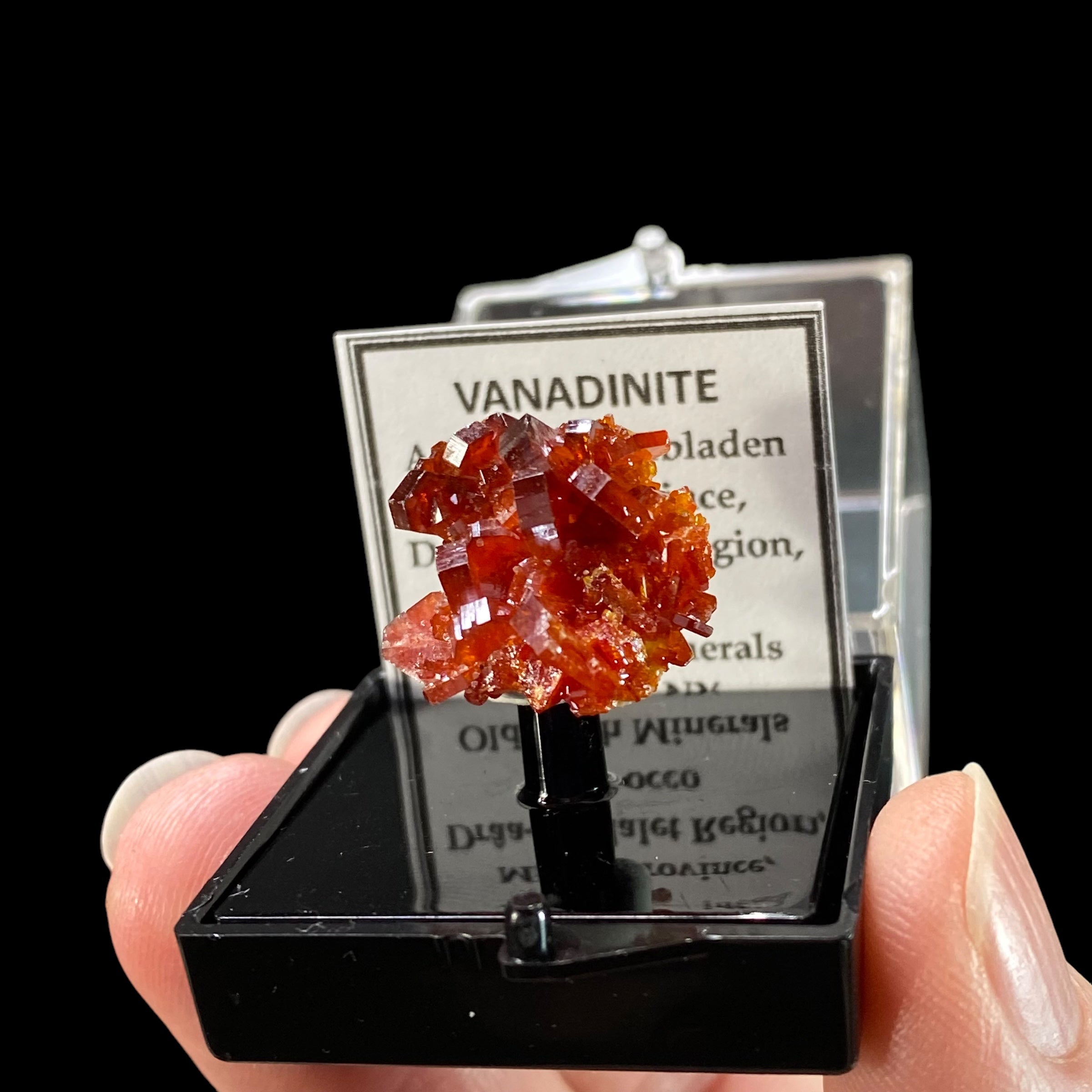 Gemmy Vanadinite Thumbnail Size Cluster in Perky Box