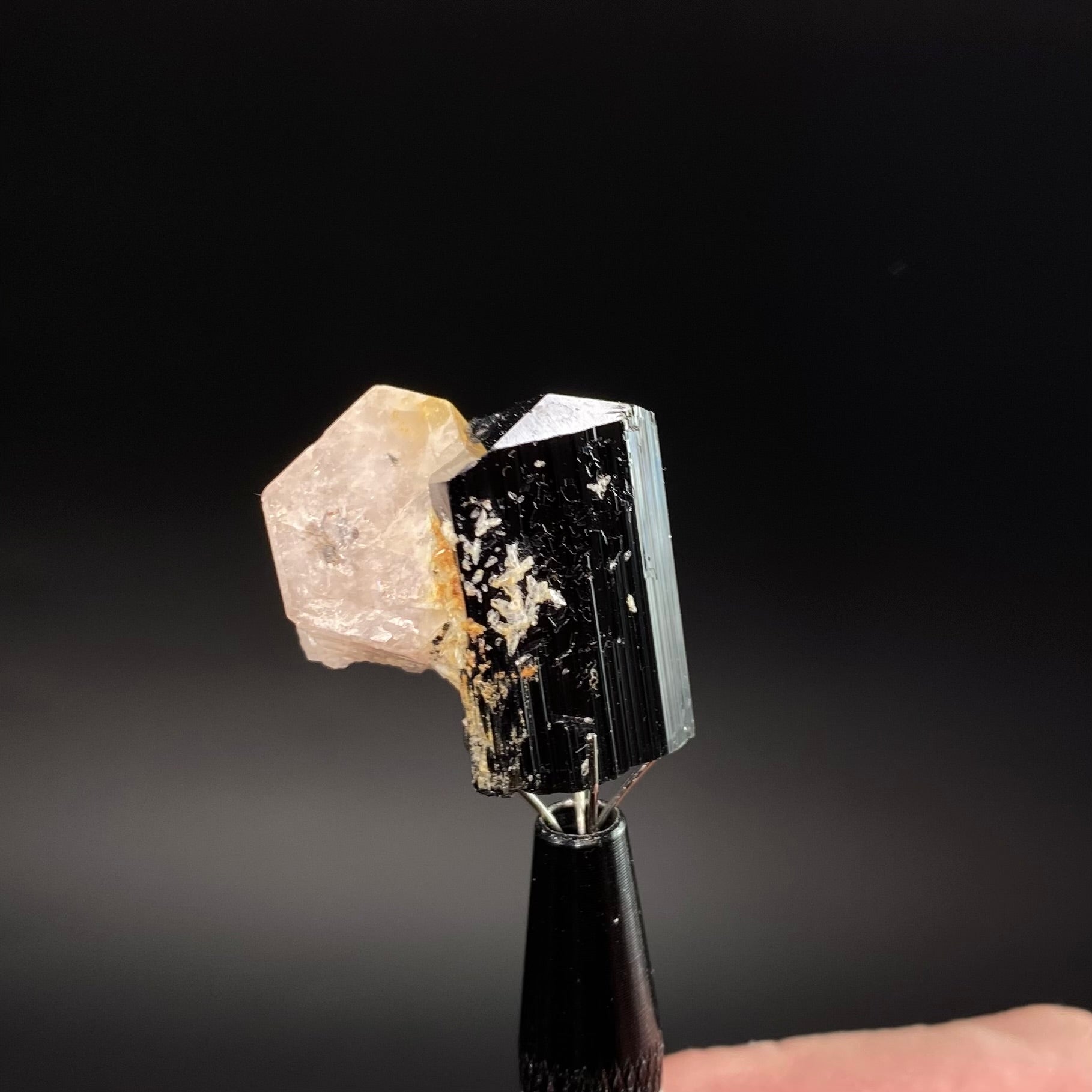 Double Terminated Apatite Crystal with Black Tourmaline and Albite