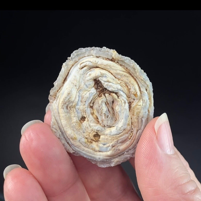 Druzy Chalcedony Concretion from Rio Grande do Sul, Brazil