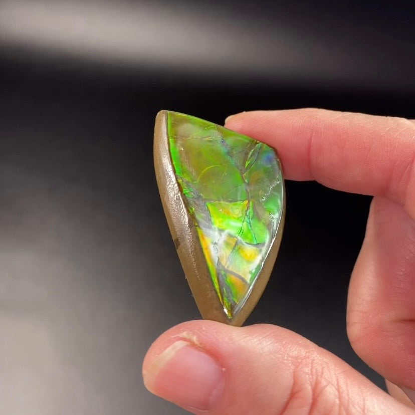 Grade A Canadian Korite Ammolite Polished Freeform Cabochon with Green and Orange Hues