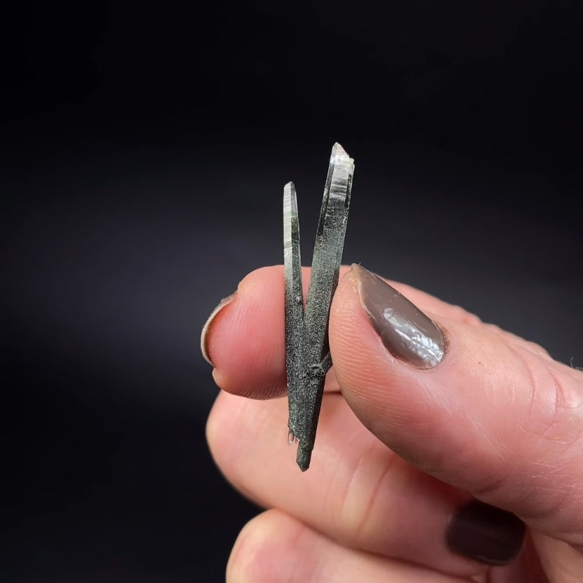 Himalayan Laser Chlorite Included Quartz Cluster from Ganesh Himal, Nepal