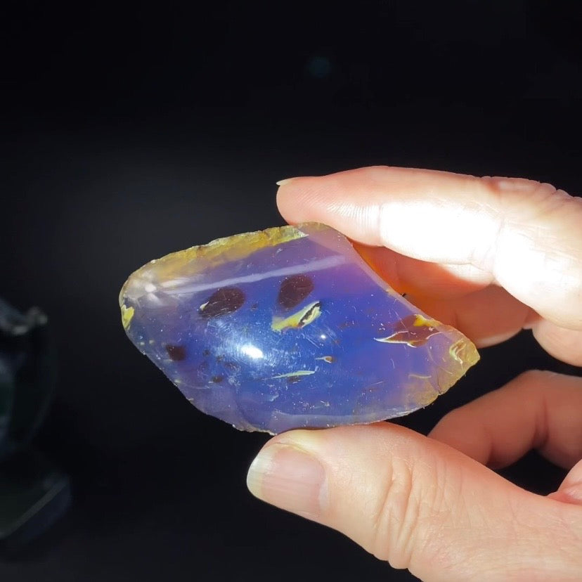 High Grade Sumatran Blue Amber Polished Display Face and Raw Exterior