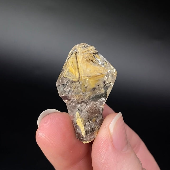 Fenster Scepter Quartz Crystal with Golden Clay Inclusions
