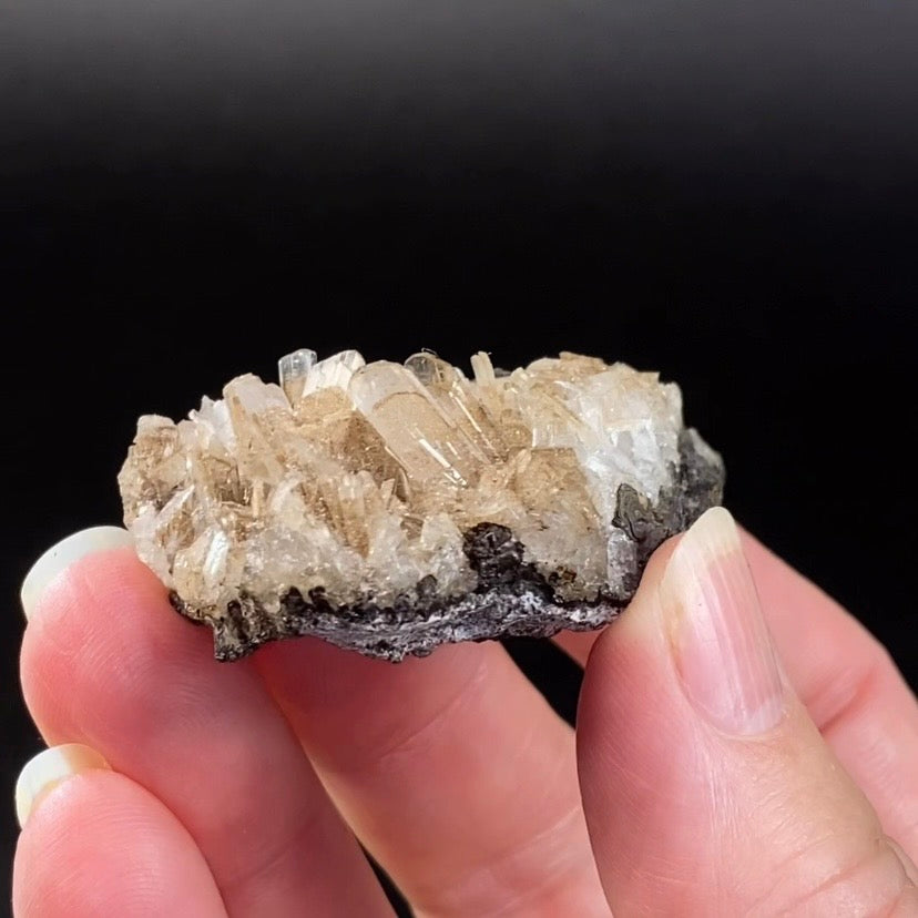 Hemimorphite Crystals on Matrix, Santa Eulalia, Chihuahua, Mexico