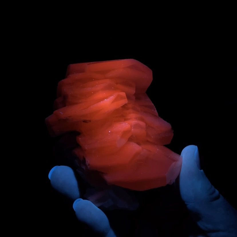 Fluorescent Hexagonal Sandwich Calcite Crystal Cluster